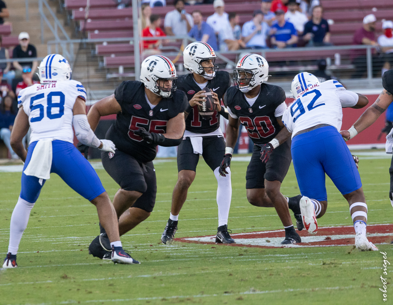 stanford football 2024